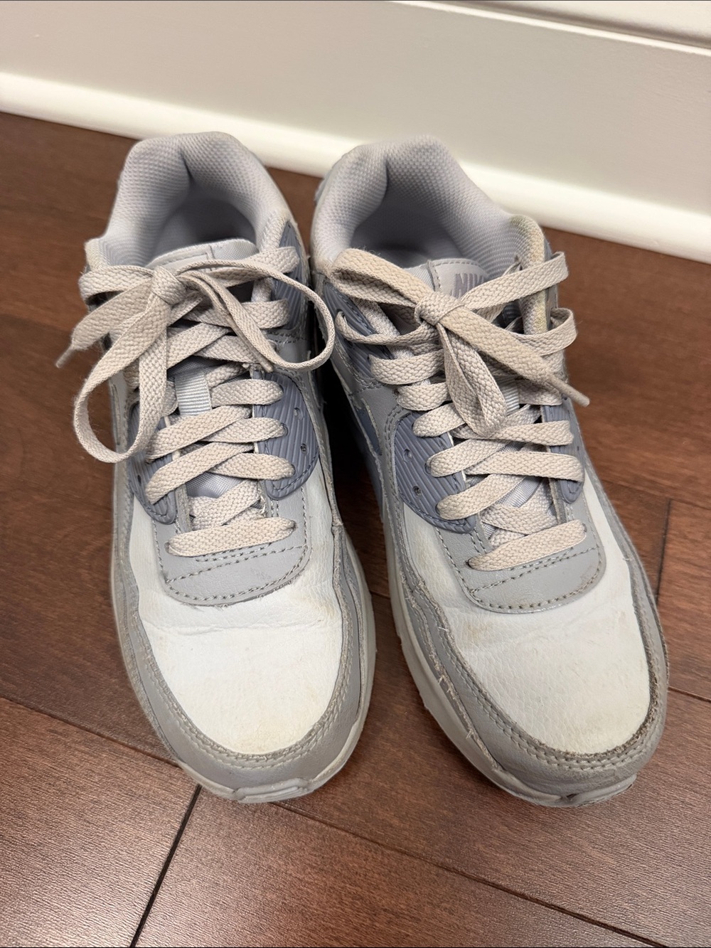 Nike Air Max Light Gray Low-Top Sneakers